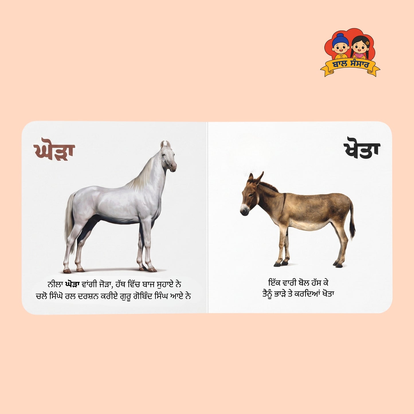 Animals of Punjab (ਜਾਨਵਰ ਪੰਜਾਬ ਦੇ)