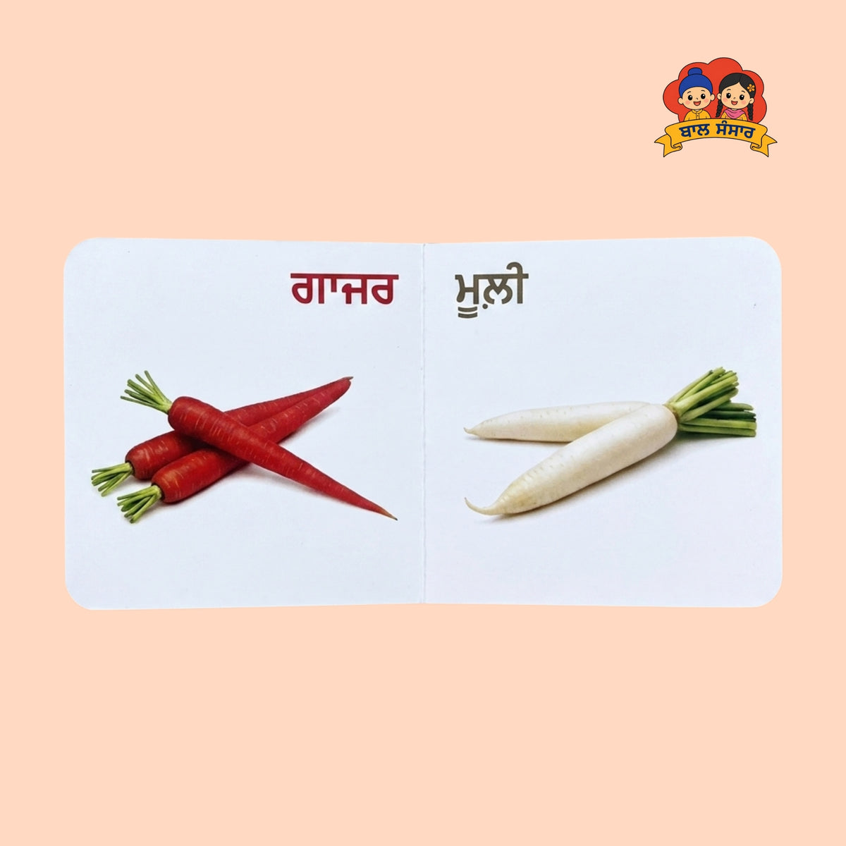 Vegetables of Punjab (ਸਬਜ਼ੀਆਂ ਪੰਜਾਬ ਦੀਆਂ)