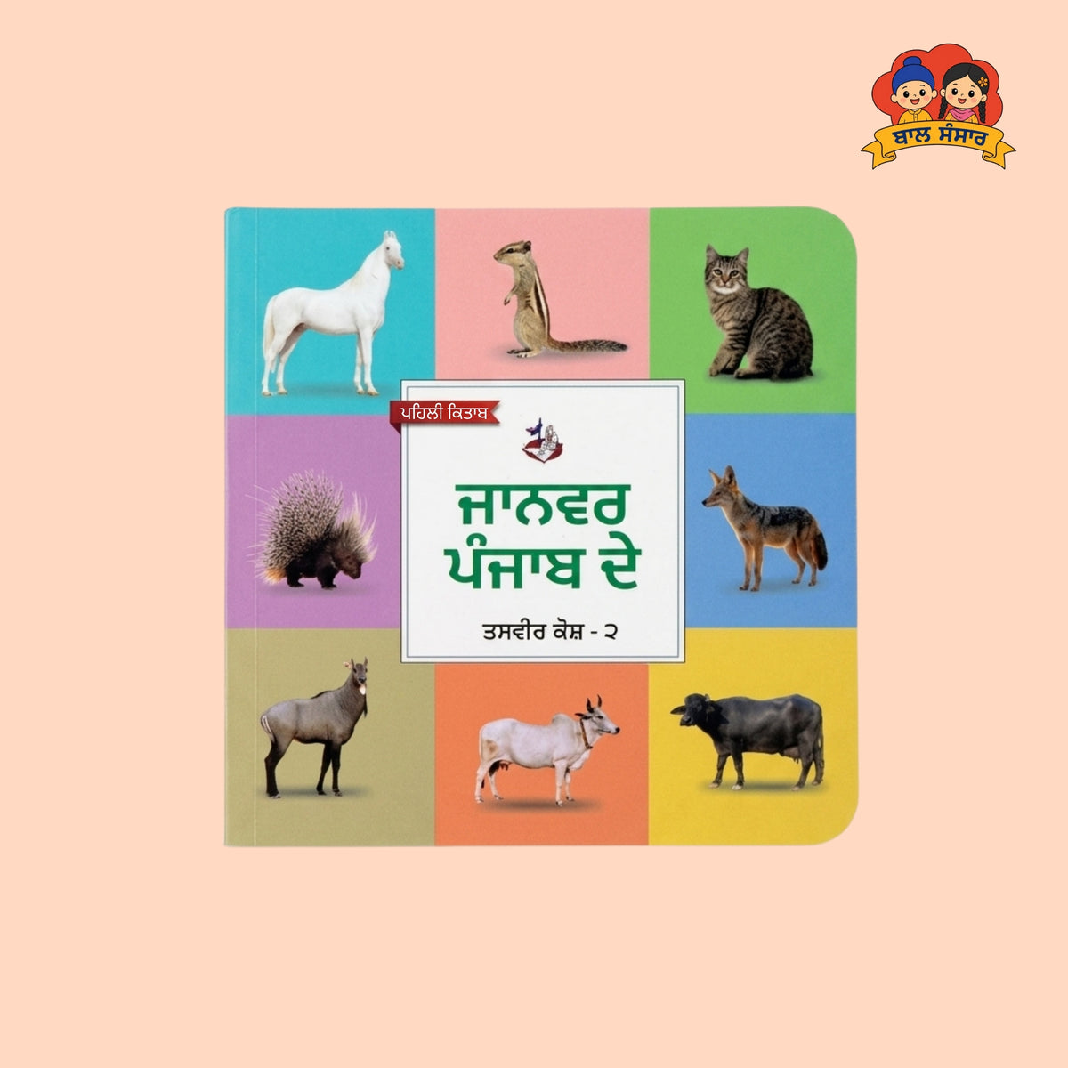 10-book set (ਕਿਤਾਬਾਂ ਵਾਲਾ ਰਖਣਾ )