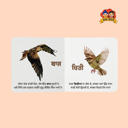 Birds of Punjab (ਪੰਛੀ ਪੰਜਾਬ ਦੇ)