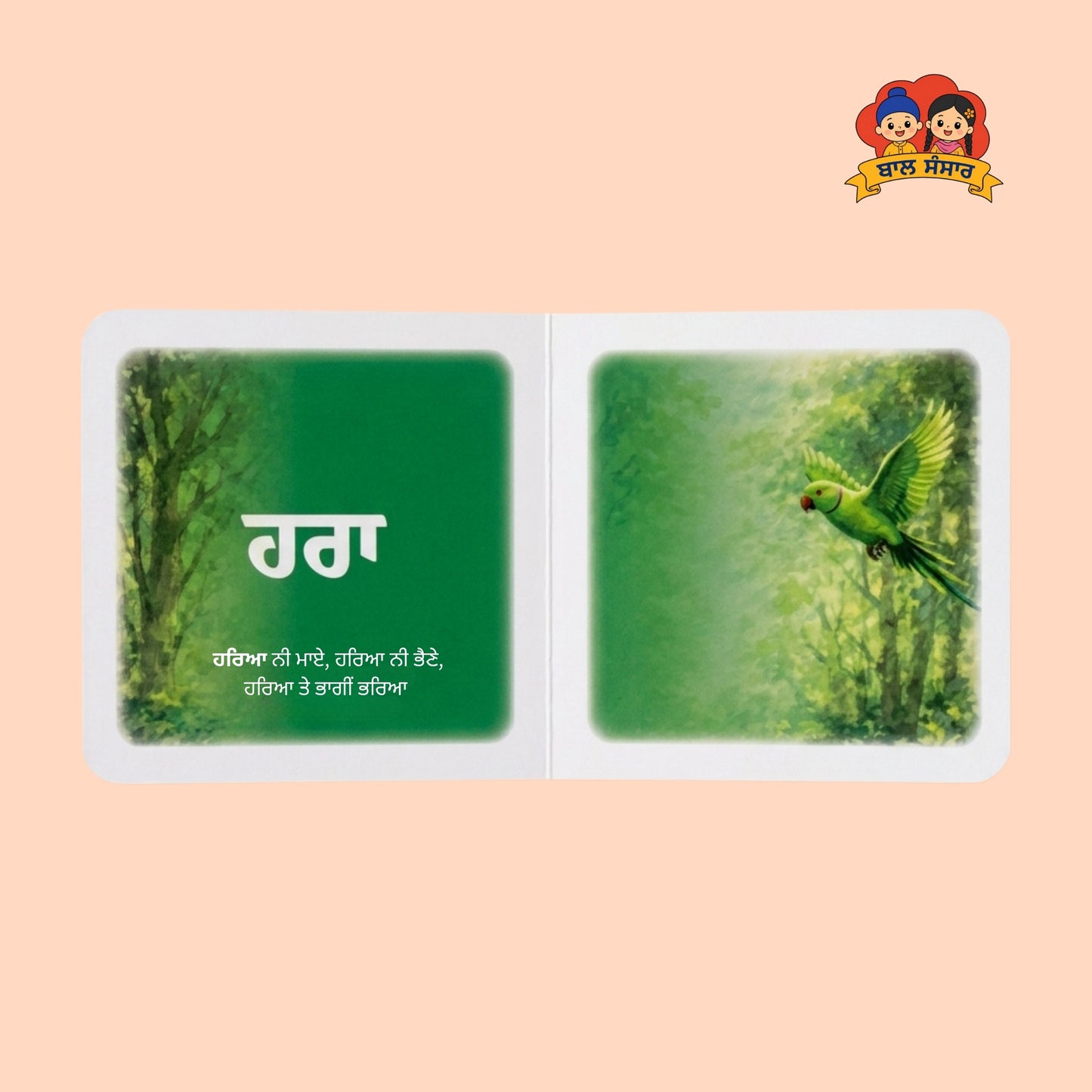 Colors of Punjab (ਰੰਗ ਪੰਜਾਬ ਦੇ)