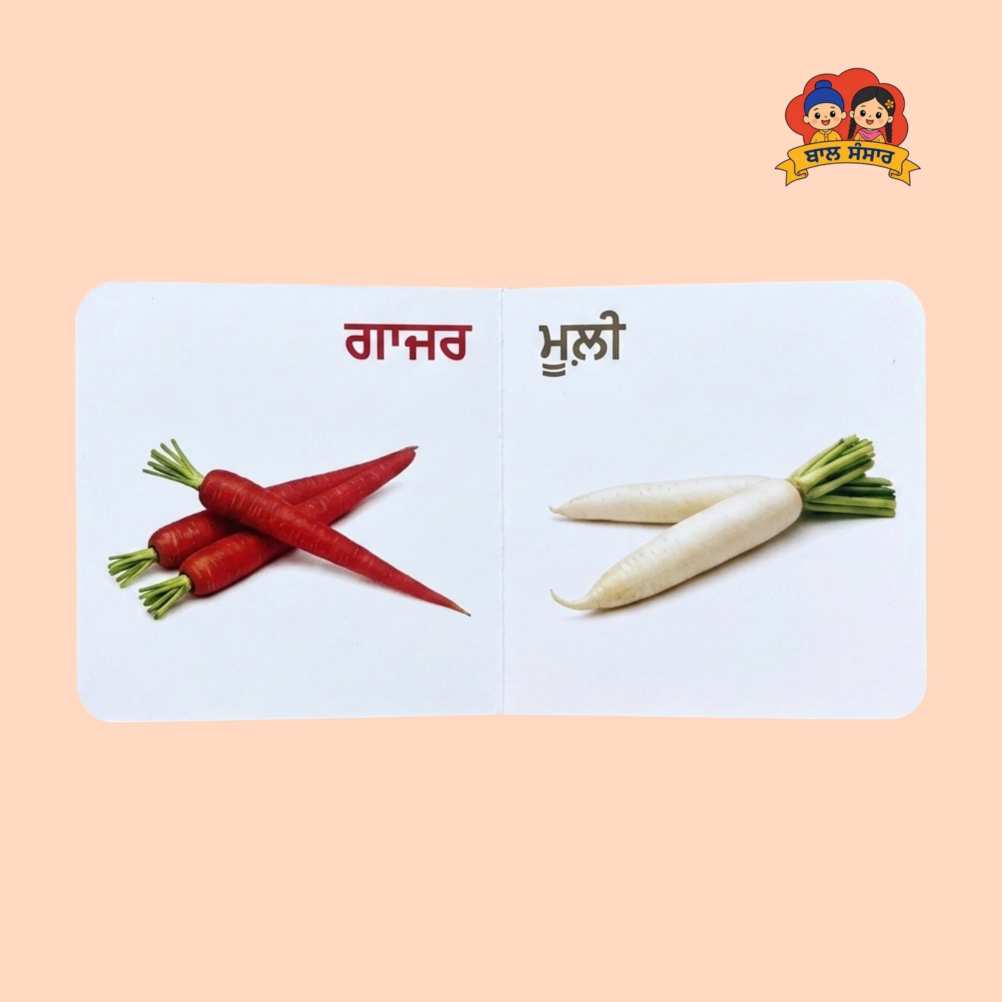 Vegetables of Punjab (ਸਬਜ਼ੀਆਂ ਪੰਜਾਬ ਦੀਆਂ)