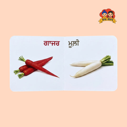 Vegetables of Punjab (ਸਬਜ਼ੀਆਂ ਪੰਜਾਬ ਦੀਆਂ)